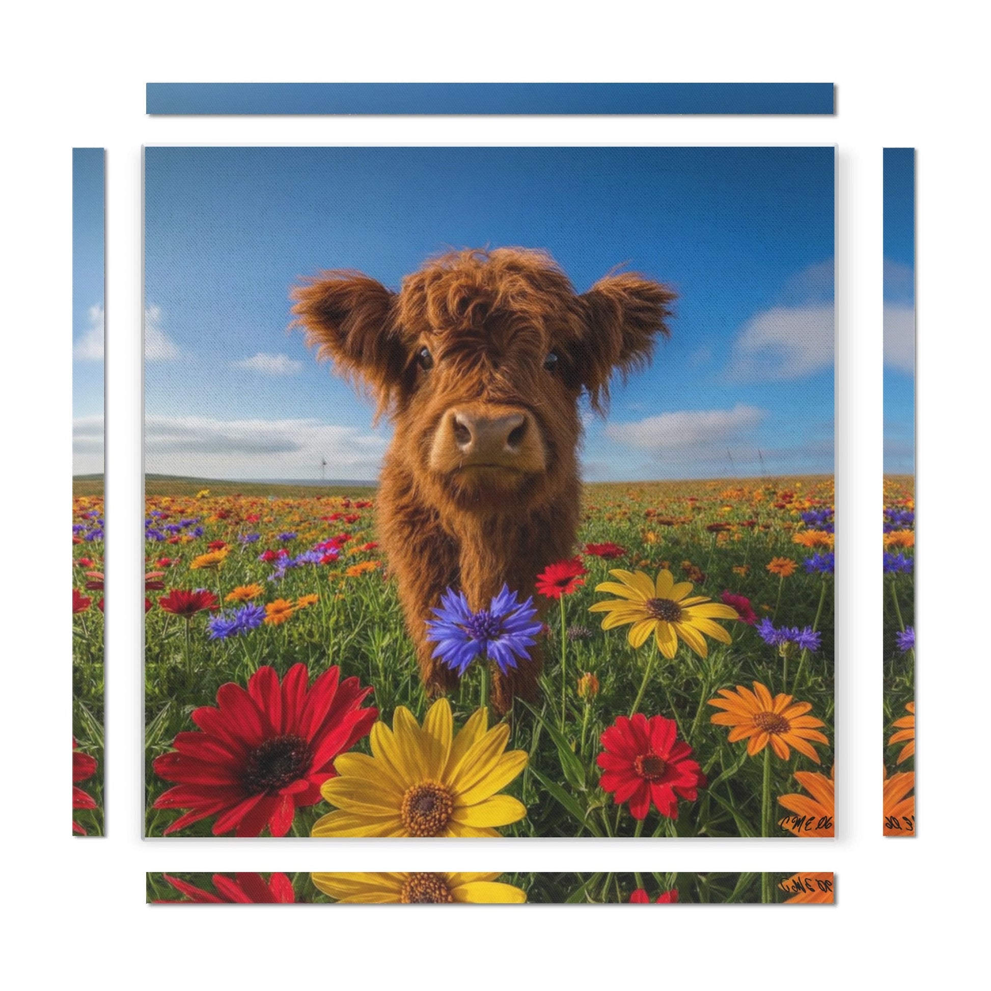 filename-1769891881-4-Nk4z5X24R8