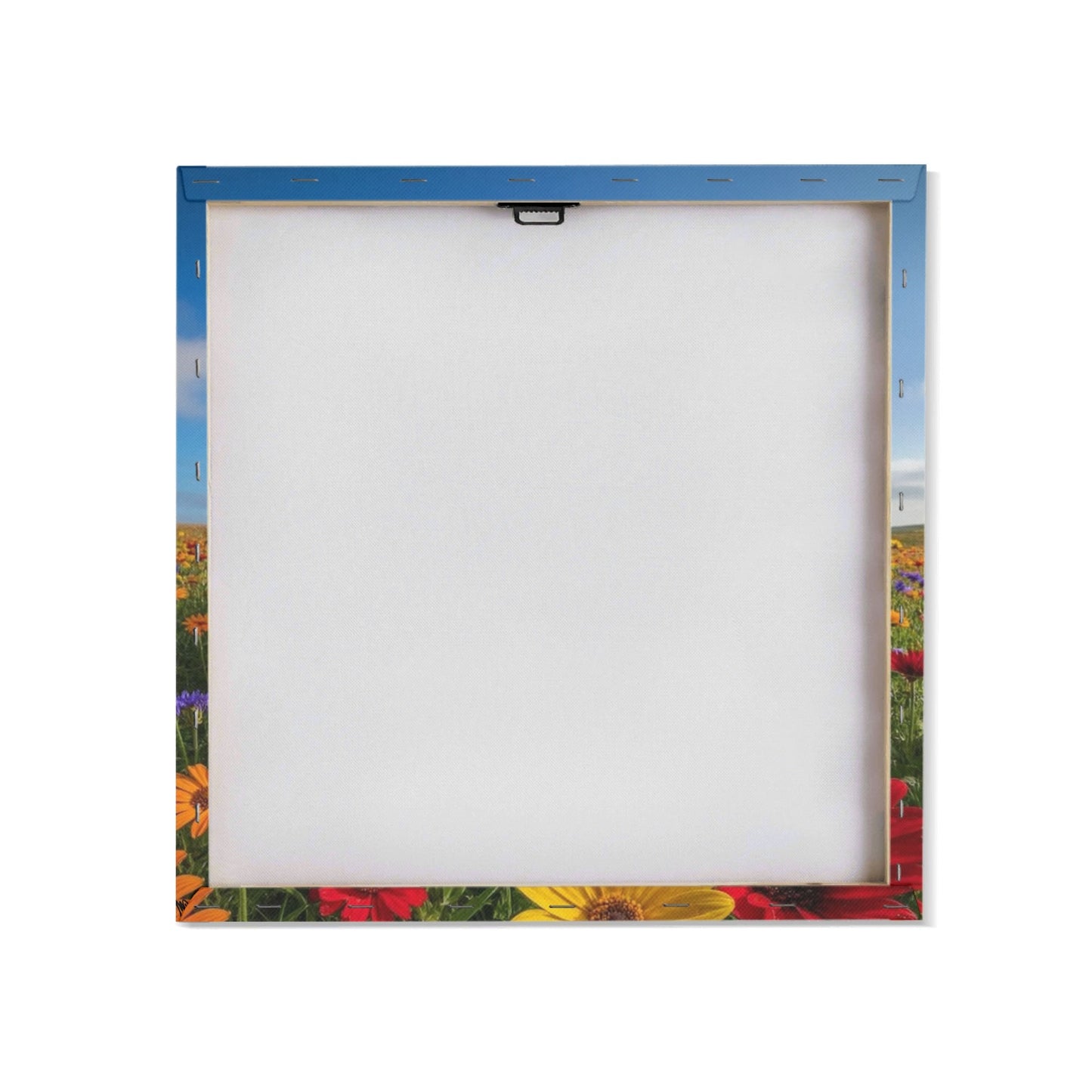 filename-1769891881-5-Nk4z5X24R8